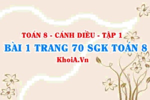 Bài 1 trang 70 SGK Toán 8 tập 1 Cánh Diều
